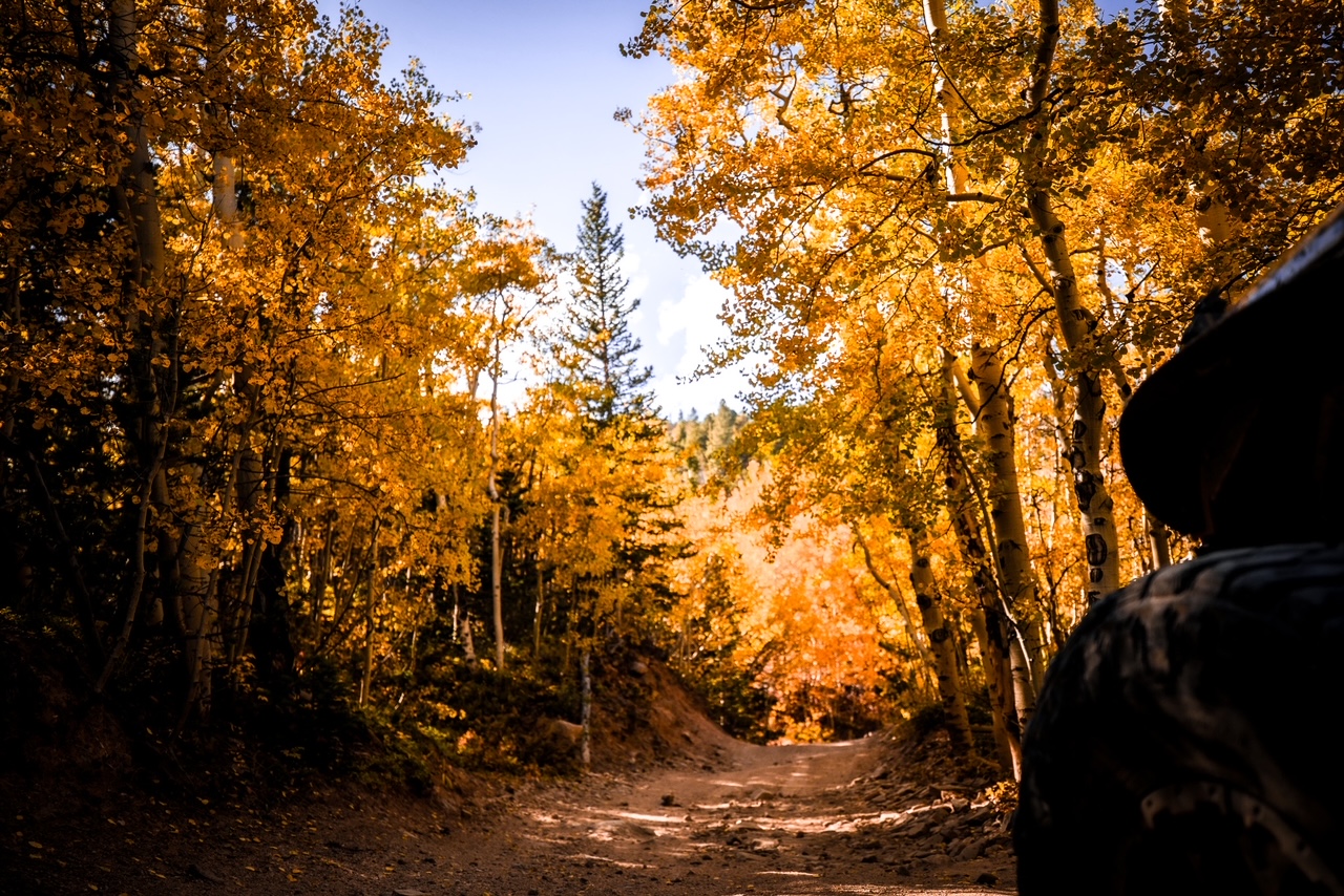 Jeep Tours Colorado Native Jeeps Tours