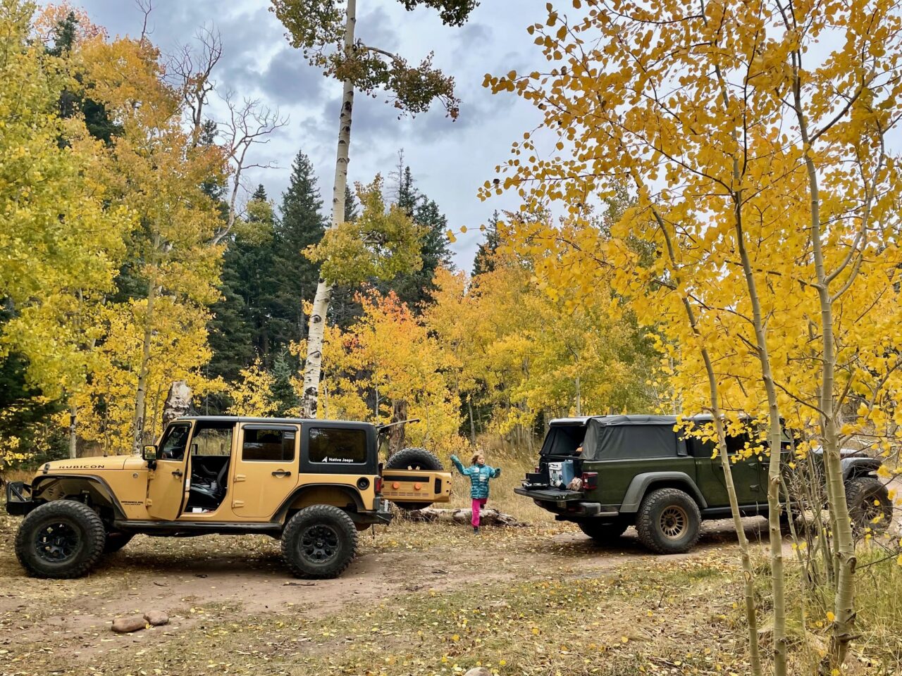 Jeep Tours Colorado Native Jeeps Octoberfest