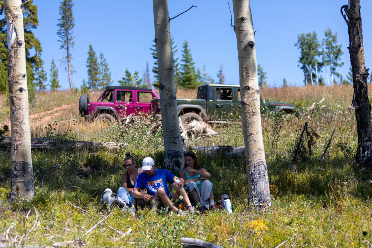 Jeep Tours Colorado Native Jeeps Camping 