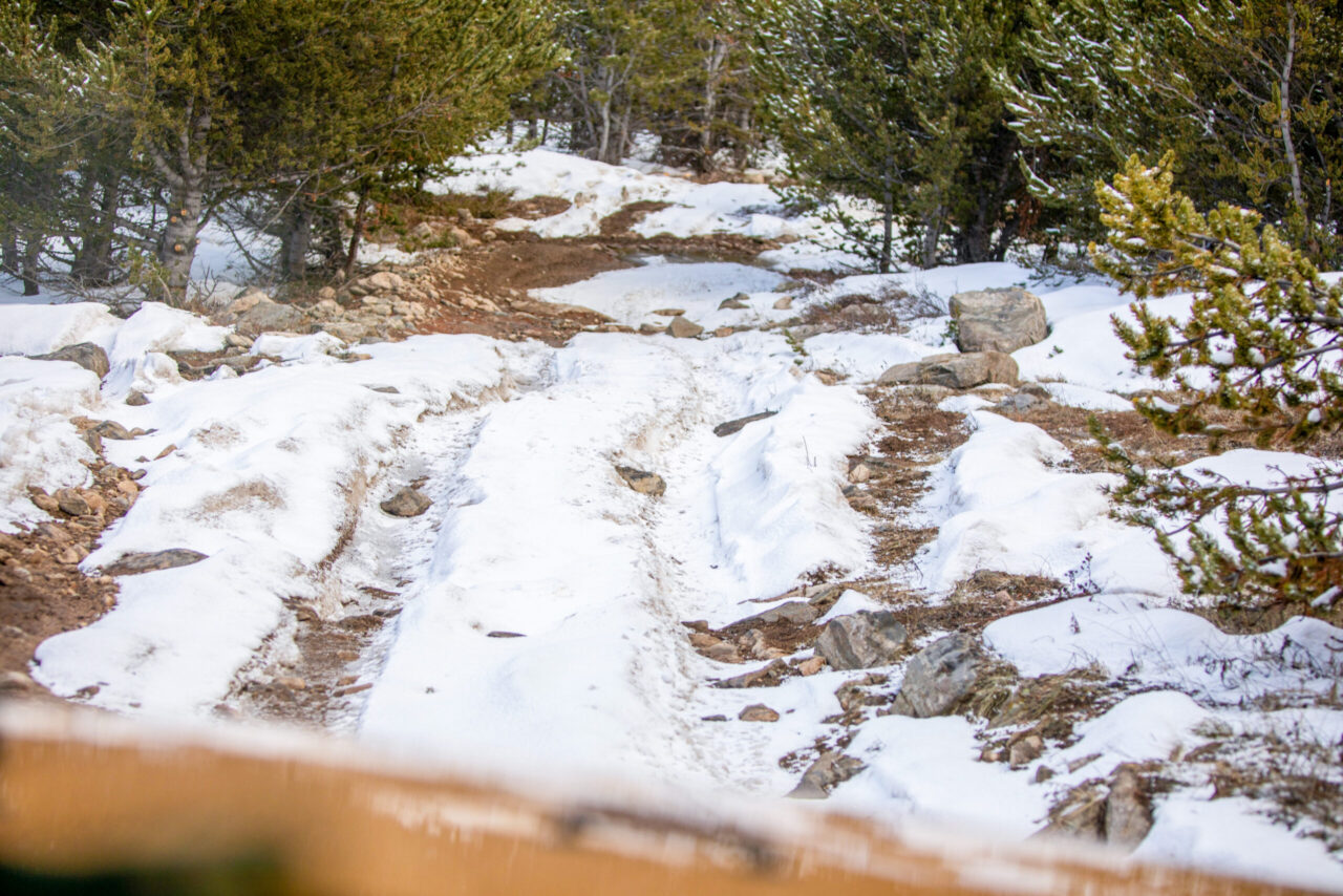 Jeep Tours Colorado Native Jeeps Spring Tours