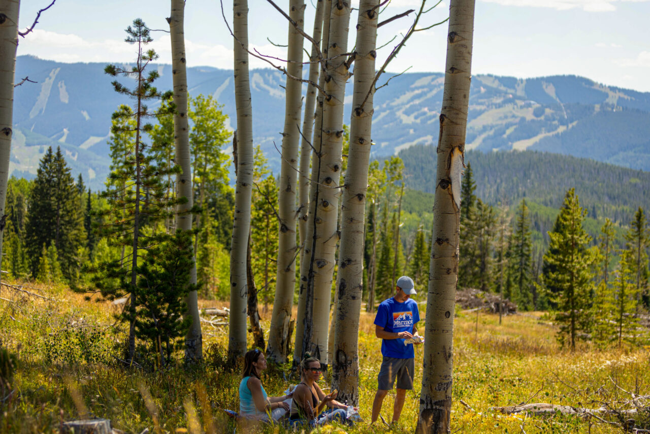 Private Vail McAllister Gulch Tour
