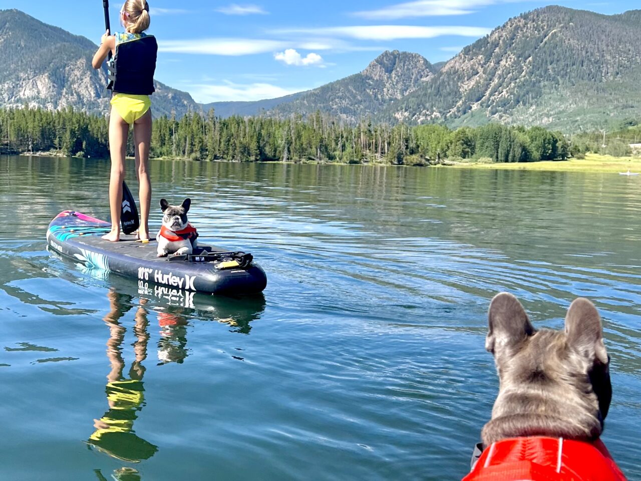 “Echo Lake vibes. Dogs love Colorado lakes as much as we do.”