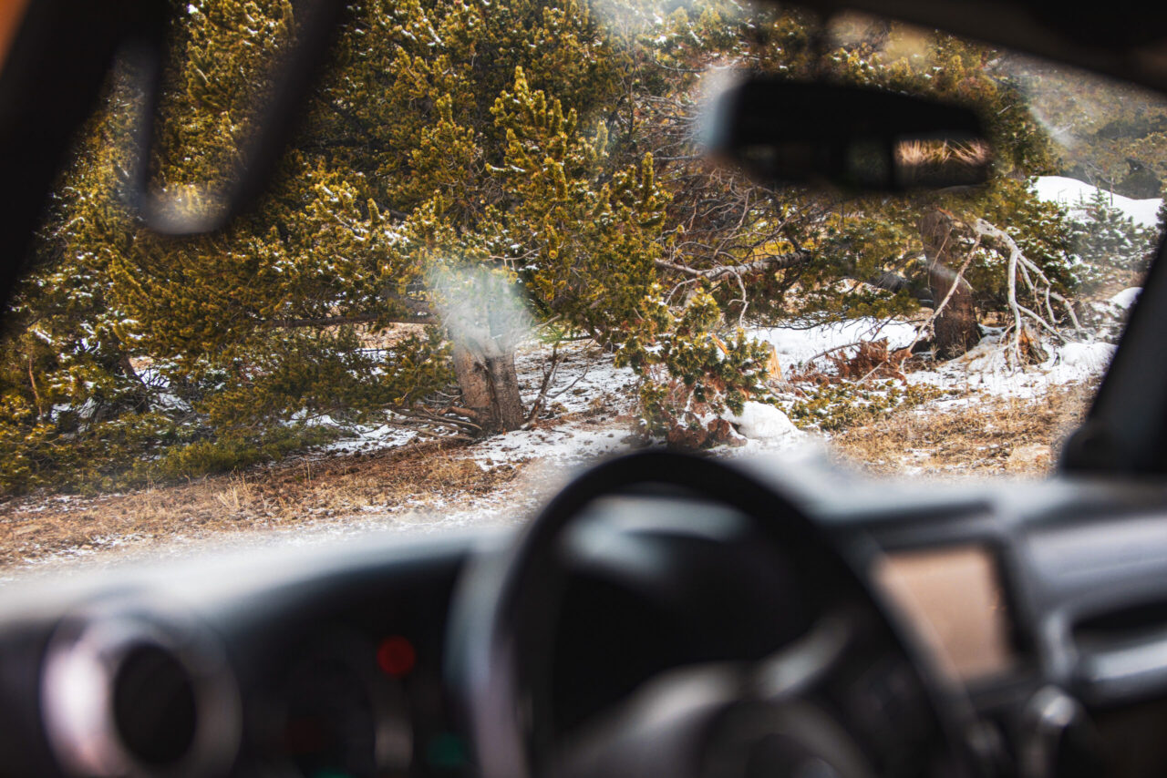 Jeep Tours Colorado Native Jeeps Yankee Hill