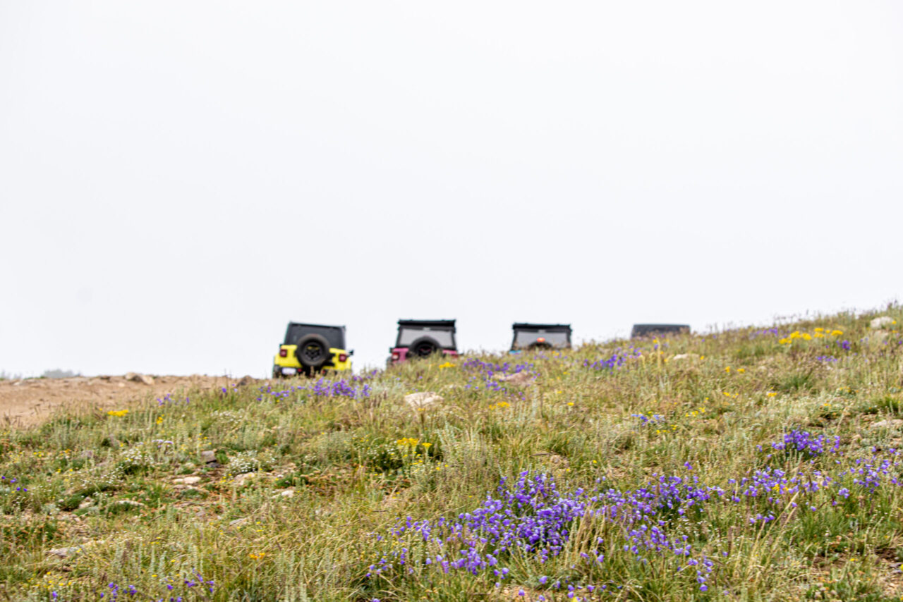 Jeep Tours Colorado Switzerland Trail