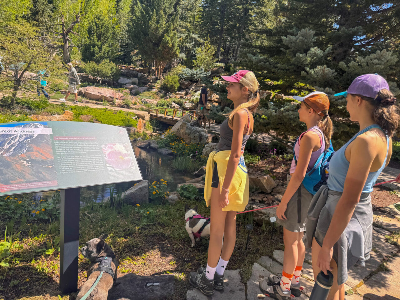 Betty Ford Alpine Garden