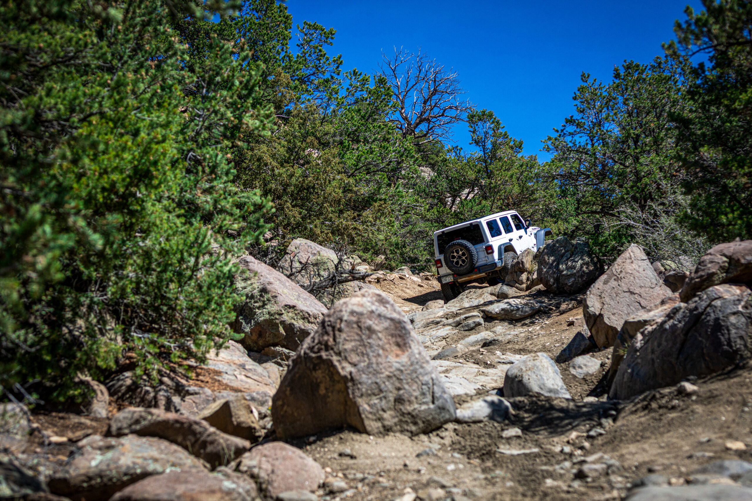 White Jeep Rock Crawling Colorado Jeep Trail