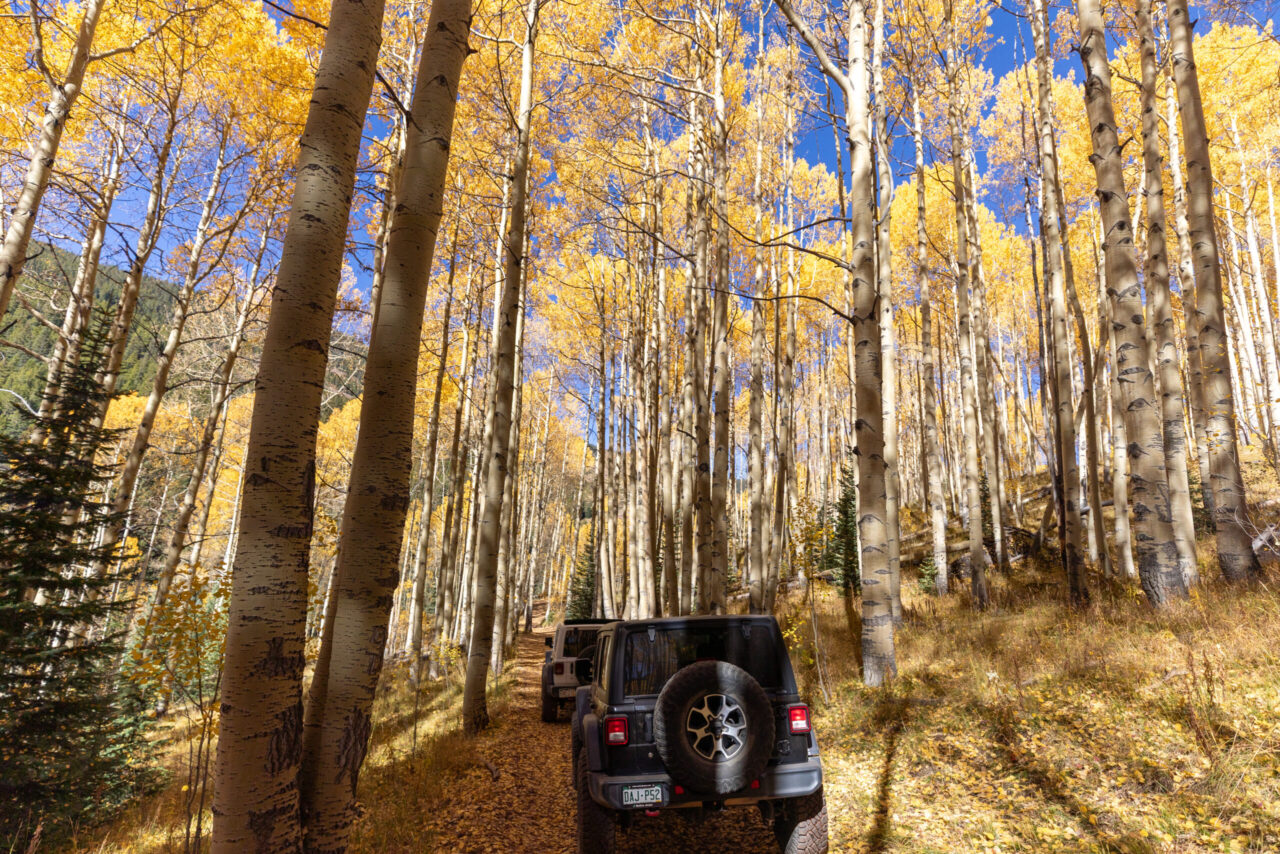 Jeep Tours Colorado Aspens and Jeeps