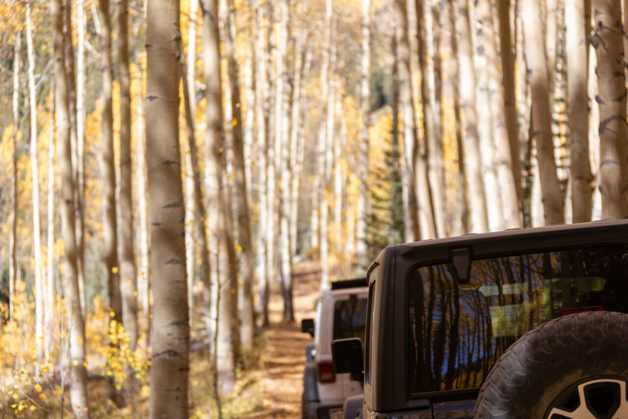 Jeep Tours Colorado Jeep Trail thru Aspen trees