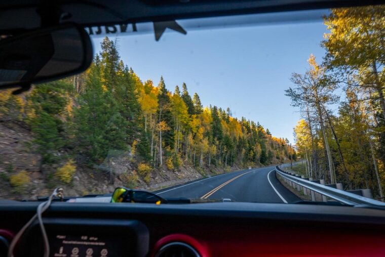 Best leaf peeping Colorado