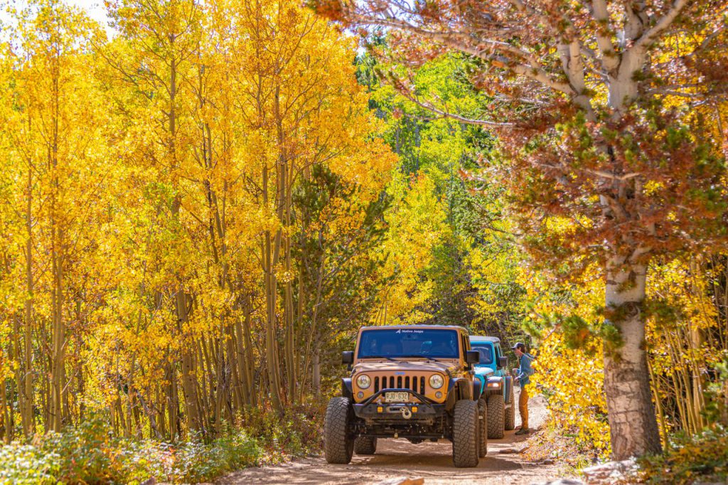 Best Jeep trails Colorado fall