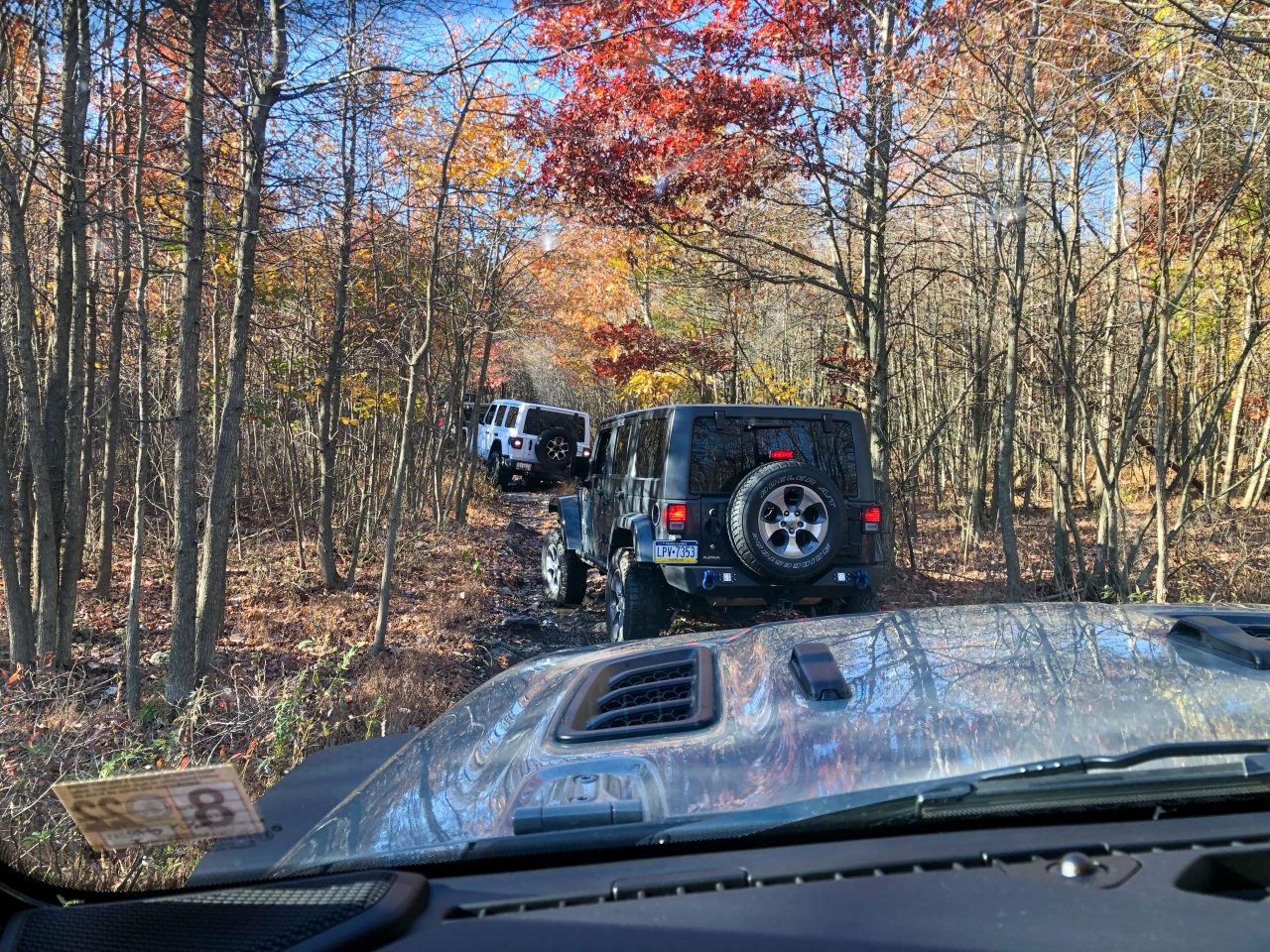 Jeep Badge of Honor Trails: East Coast Review part 1 - Native Jeeps