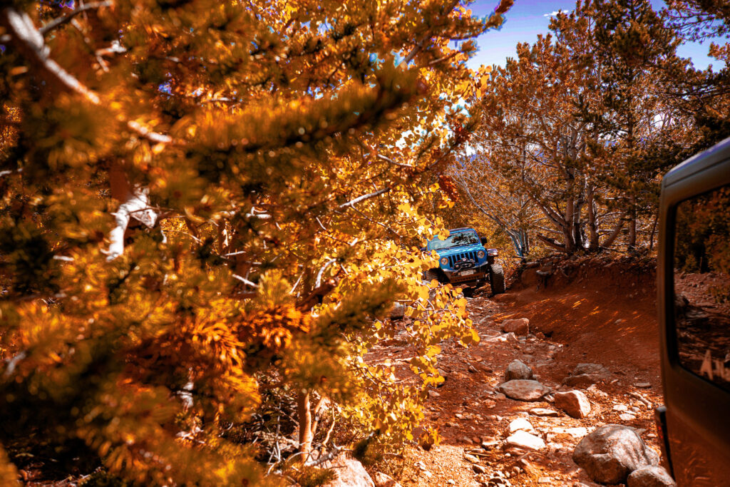 Jeep Tours Colorado Native Jeeps Fall in Vail