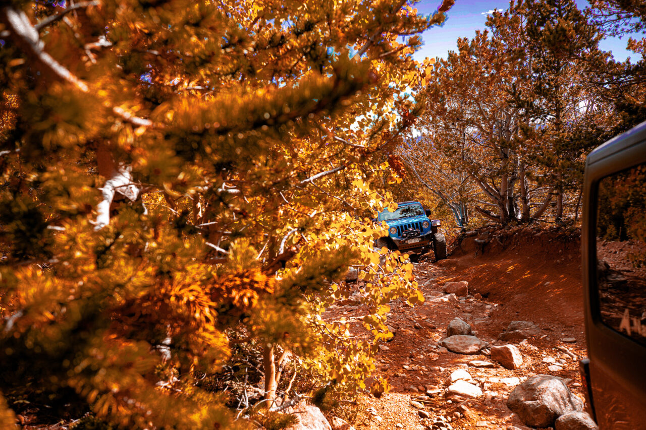 The Best Fall Activities For The Entire Family - Native Jeeps