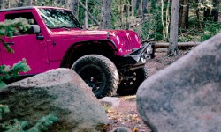 Jeep Tour Colorado Native Jeeps Pink Jeep