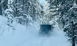 Jeep Tours Colorado by Native Jeeps Snow Wheeling
