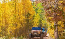 Native Jeeps Fall in Colorado