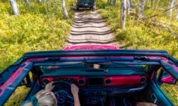 Jeep Tours Colorado Native Jeeps Hot girls